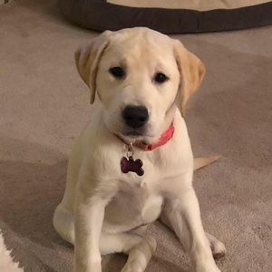 Meet your Posher, Cyndi